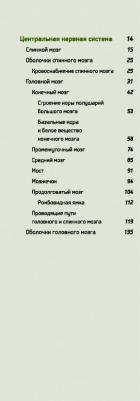 Сапин Михаил Романович, Никитюк Дмитрий Борисович, Клочкова Светлана Валерьевна. Анатомия человека. Учебник для фармацевтических факультетов – фото 18