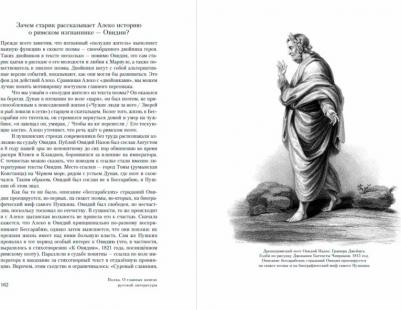 Сапрыкин Юрий, Бабицкая Варвара, Оборин Лев, Рыжова Полина. Полка. Комплект из 2-х книг. О главных книгах русской литературы – фото 5