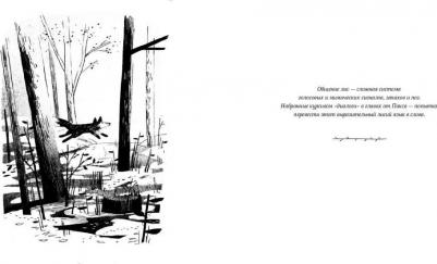 Сара Пеннипакер. Пакс. Дорога домой – фото 1