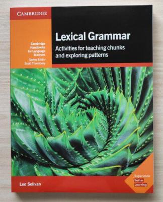 Selivan Leo. Lexical Grammar: Activities for Teaching Chunks and Exploring Patterns – фото 4