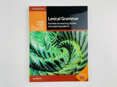 Selivan Leo. Lexical Grammar: Activities for Teaching Chunks and Exploring Patterns – фото 5
