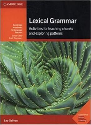 Selivan Leo. Lexical Grammar: Activities for Teaching Chunks and Exploring Patterns – фото 6