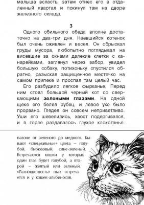 Сетон-Томпсон Эрнест. Рассказы о природе – фото 4