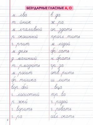 Шамакова Елена Александровна. Навыки грамотного письма и написание словарных слов – фото 4