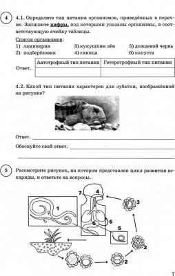 Шариков Александр Викторович. Биология. 8 класс. ВПР. Всероссийская проверочная работа. 15 вариантов. Типовые задания. ЦПМ. СТАТГРАД. ФГОС – фото 1