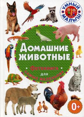 Шестакова Ирина Борисовна. Домашние животные с наклейками