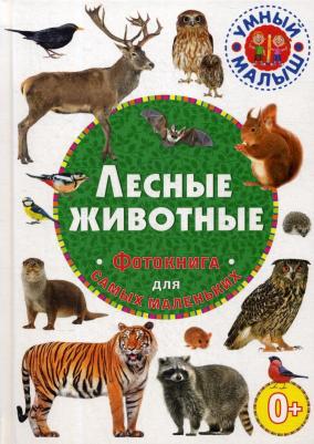 Шестакова Ирина Борисовна. Лесные животные с наклейками – фото 5