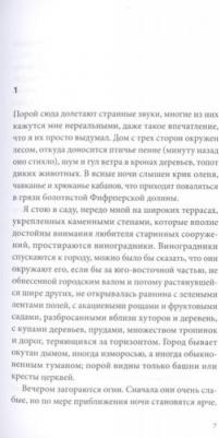 Шикула Винцент. Орнамент – фото 4