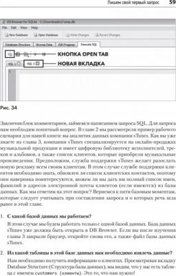 Шилдс Уолтер. Программа SQL. Быстрое погружение – фото 2