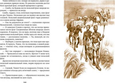 Шклярский Альфред. Томек на Черном континенте – фото 8