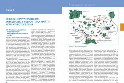 Шляхтунов Евгений Александрович. Циркулирующие опухолевые клетки. Характеристика, клиническое и прогностическое значение при раке – фото 7