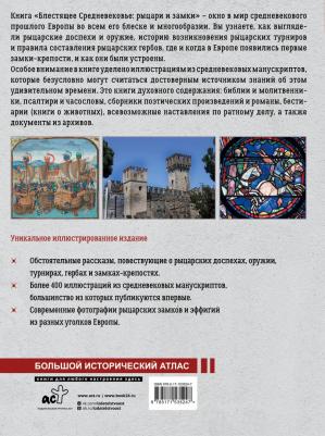 Шпаковский Вячеслав Олегович. Блестящее Средневековье. Рыцари и замки – фото 1