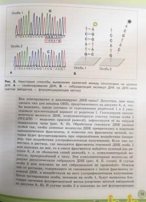 Шумный Владимир Константинович, Дымшиц Григорий Моисеевич, Саблина Ольга Валентиновна, Бородин Павел Михайлович. Биология. 11 класс. Учебник – фото 4