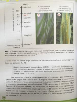 Шумный Владимир Константинович, Дымшиц Григорий Моисеевич, Саблина Ольга Валентиновна, Бородин Павел Михайлович. Биология. 11 класс. Учебник – фото 6