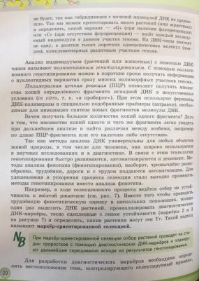 Шумный Владимир Константинович, Дымшиц Григорий Моисеевич, Саблина Ольга Валентиновна, Бородин Павел Михайлович. Биология. 11 класс. Учебник – фото 8
