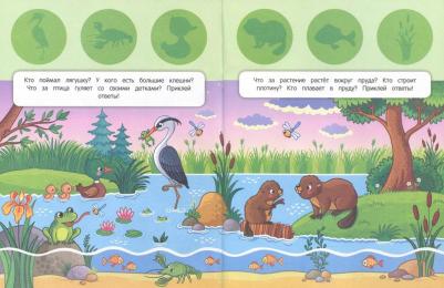 Силенко Елизавета. Исследуй лес! Книжка с наклейками – фото 3