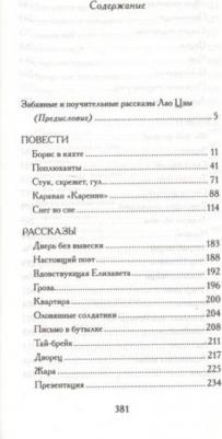 Симонов Владимир Валериевич. Караван "Каренин" – фото 2