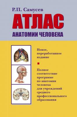 Синельников Рафаил Давидович, Синельников Яков Рафаилович, Синельников Александр Яковлевич. Атлас анатомии человека. В 3-х томах. Том 2 – фото 2