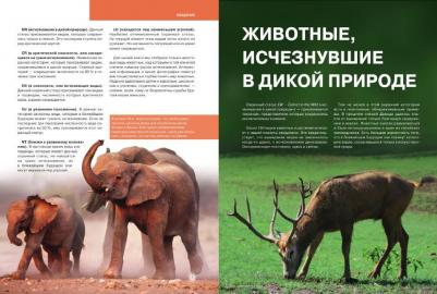 Скалдина Оксана Валерьевна, Слиж Евгений Александрович. Красная. Животные мира – фото 4