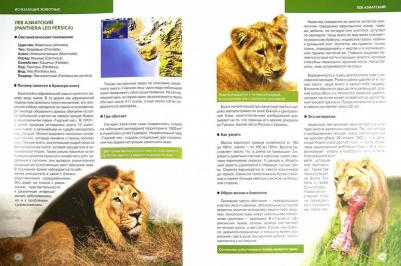 Скалдина Оксана Валерьевна, Слиж Евгений Александрович. Красная. Животные мира – фото 6