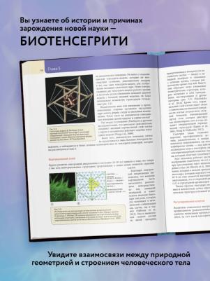 Скарр Грэхам. Биотенсегрити. Как работают Анатомические поезда, остеопатия и кинезиология и что может сделать эти техники максимально эффективными – фото 5