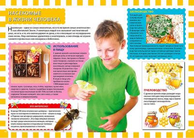 Скиба Тамара Викторовна, Феданова Юлия Валентиновна. Насекомые. Первая энциклопедия для детей – фото 1