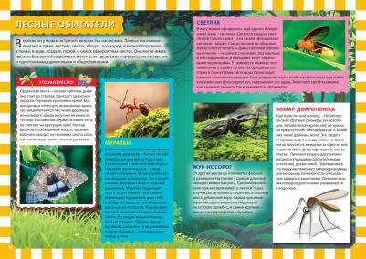 Скиба Тамара Викторовна, Феданова Юлия Валентиновна. Насекомые. Первая энциклопедия для детей – фото 2
