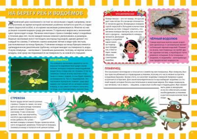 Скиба Тамара Викторовна, Феданова Юлия Валентиновна. Насекомые. Первая энциклопедия для детей – фото 6