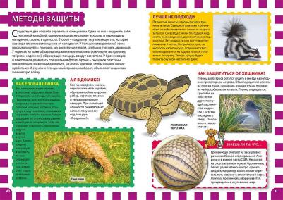 Скиба Тамара Викторовна, Феданова Юлия Валентиновна. Невероятные сверхвозможности животных. Детская энциклопедия – фото 10