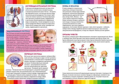 Скиба Тамара Викторовна. Детская энциклопедия для маленьких почемучек – фото 7