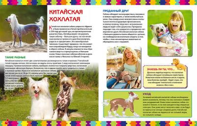 Скиба Тамара Викторовна. Моя первая о собаках и щенках. Детская энциклопедия – фото 1