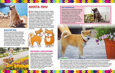 Скиба Тамара Викторовна. Моя первая о собаках и щенках. Детская энциклопедия – фото 4