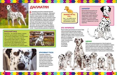 Скиба Тамара Викторовна. Моя первая о собаках и щенках. Детская энциклопедия – фото 5