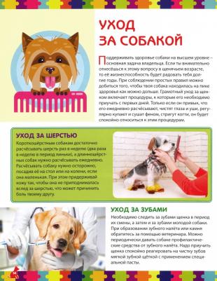 Скиба Тамара Викторовна. Моя первая о собаках и щенках. Детская энциклопедия – фото 7