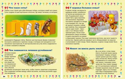 Скиба Тамара Викторовна. Удивительные насекомые. Энциклопедия маленького почемучки – фото 4
