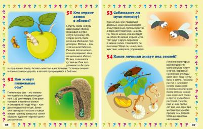 Скиба Тамара Викторовна. Удивительные насекомые. Энциклопедия маленького почемучки – фото 6