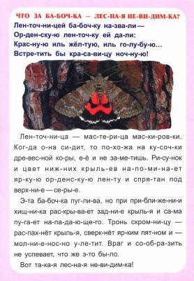 Слогочиталка "Секреты природы" – фото 1