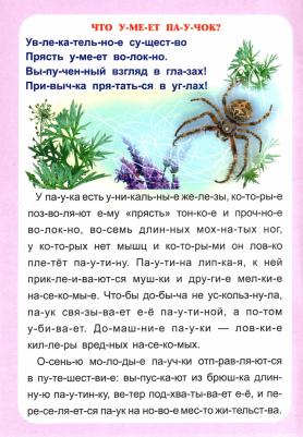 Слогочиталка "Секреты природы" – фото 2