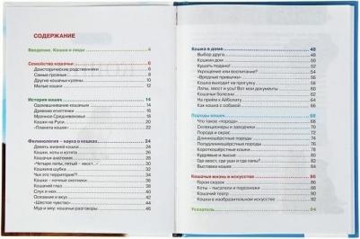 Смирнов Д., Хомич Е. Кошки – фото 5