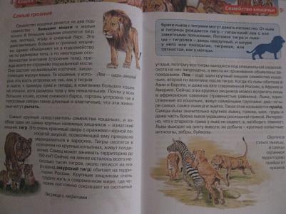 Смирнов Д., Хомич Е. Кошки – фото 7