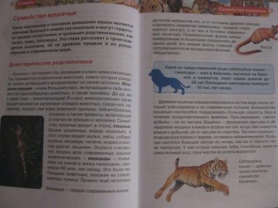 Смирнов Д., Хомич Е. Кошки – фото 11