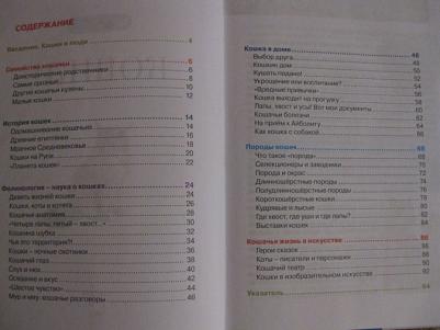 Смирнов Д., Хомич Е. Кошки – фото 12