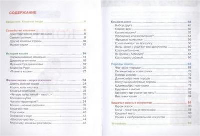 Смирнов Д., Хомич Е. Кошки – фото 13