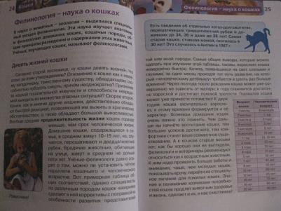 Смирнов Д., Хомич Е. Кошки – фото 18