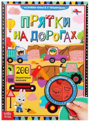 Соколова Юлия Александровна. с секретами "Прятки на дорогах" – фото 2