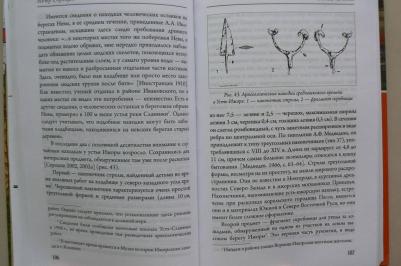 Сорокин Петр Егорович. Окрестности Петербурга. Из истории ижорской земли – фото 3