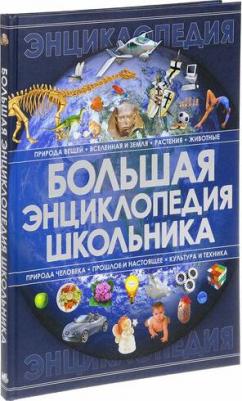 Спектор Анна Артуровна. Большая энциклопедия школьника – фото 1