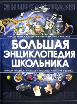 Спектор Анна Артуровна. Большая энциклопедия школьника – фото 3