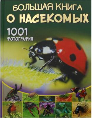 Спектор Анна Артуровна. Большая о насекомых. 1001 фотография – фото 3