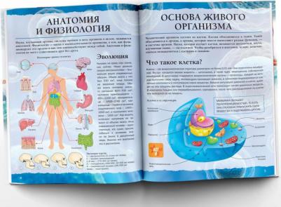 Спектор Анна Артуровна. Тело человека – фото 2